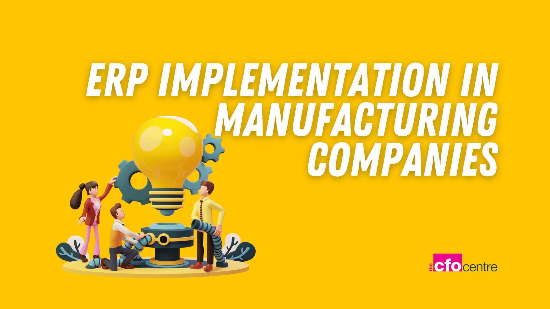 ERP Implementation in Manufacturing Companies