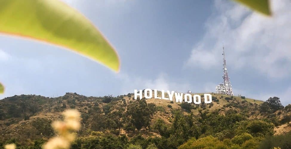 hollywood sign in LA, on top of a hill surrounded by trees