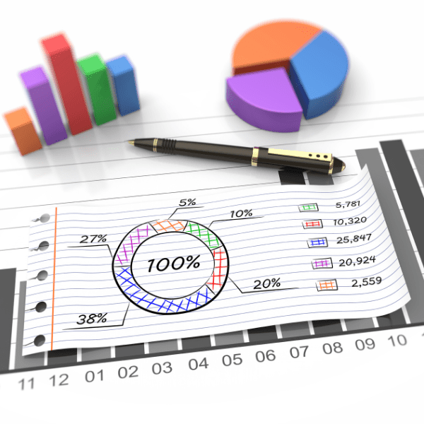 What are the 4 Financial Reporting Ratios?